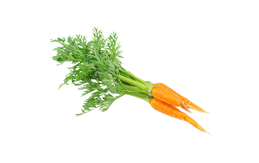 Simply Fresh Baby Carrot - Mini Vegetables    Box  250 grams